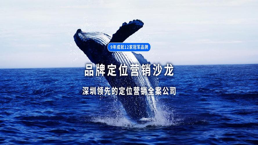 如何提升企业核心竞争力如何学习品牌定位营销的理念深圳品牌策划公司